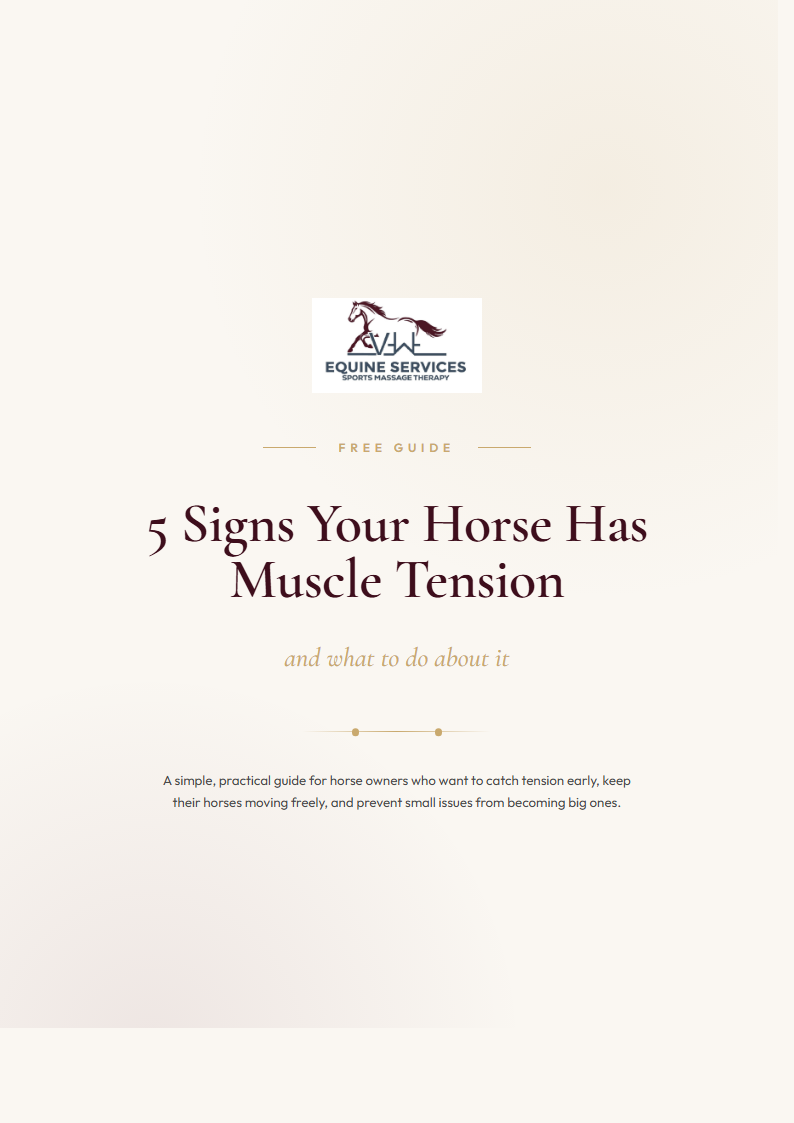 5 Signs Your Horse Has Muscle Tension — free guide cover preview
